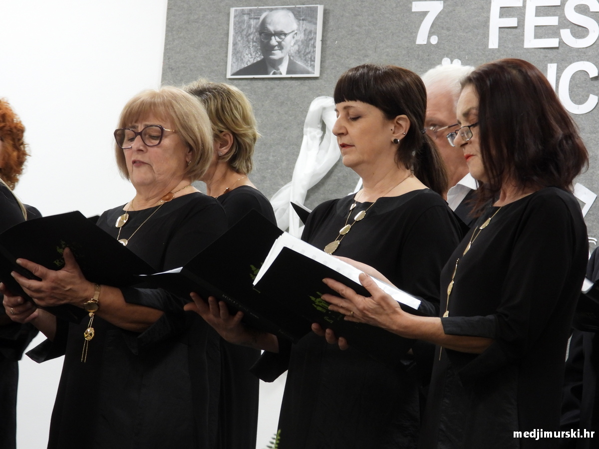 Vincekova zipka (34)