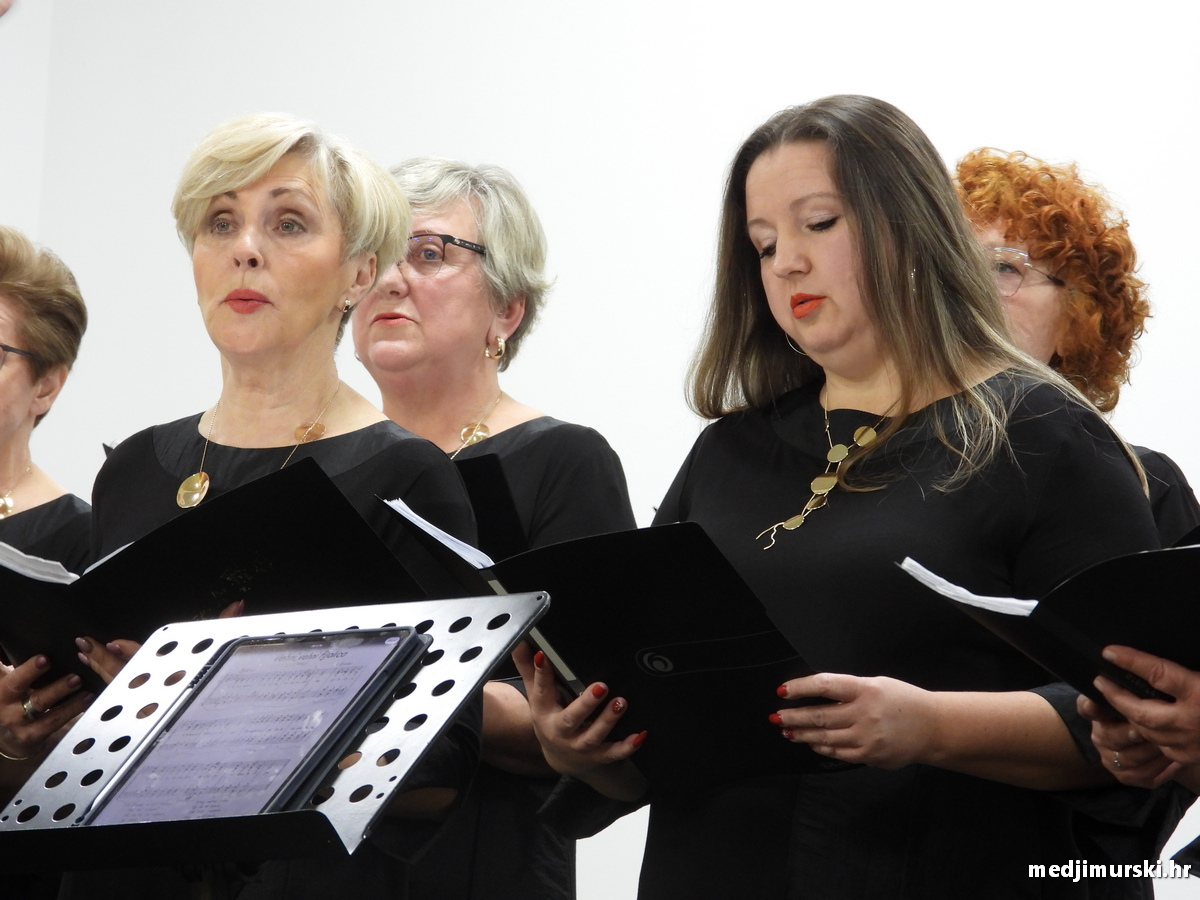 Vincekova zipka (36)