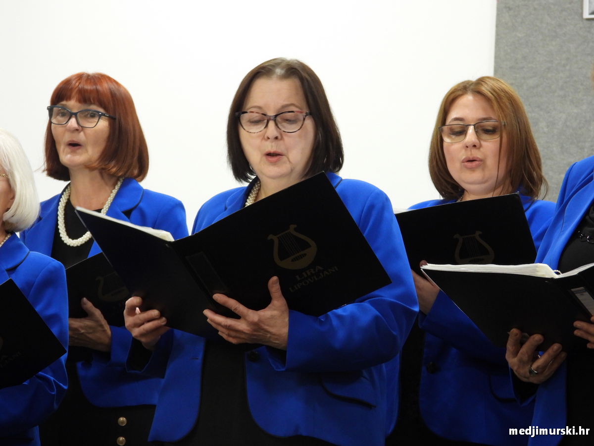 Vincekova zipka (45)