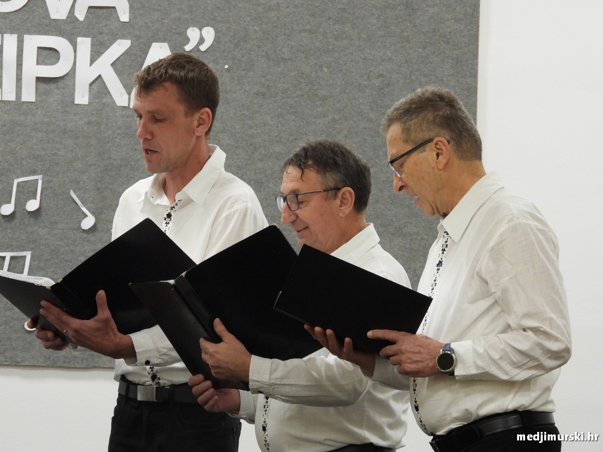 Vincekova zipka (63)