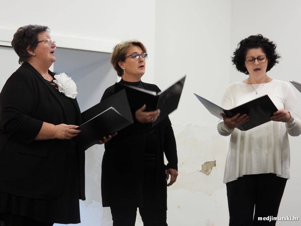 Vincekova zipka (70)