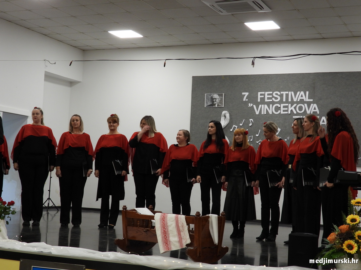 Vincekova zipka (85)