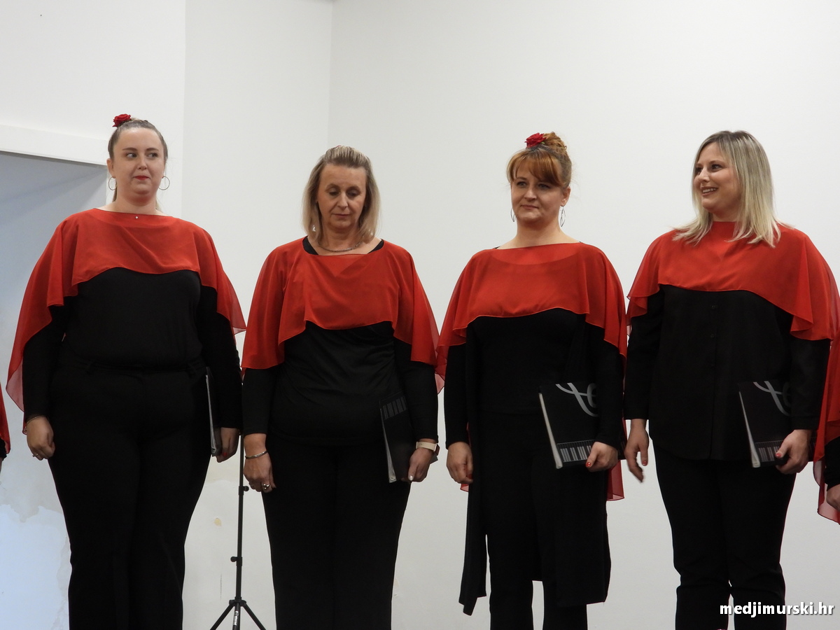 Vincekova zipka (86)