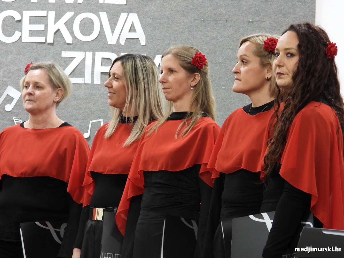 Vincekova zipka (87)