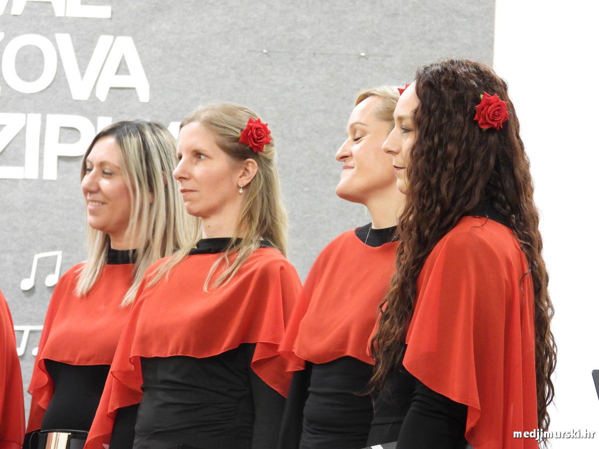 Vincekova zipka (88)