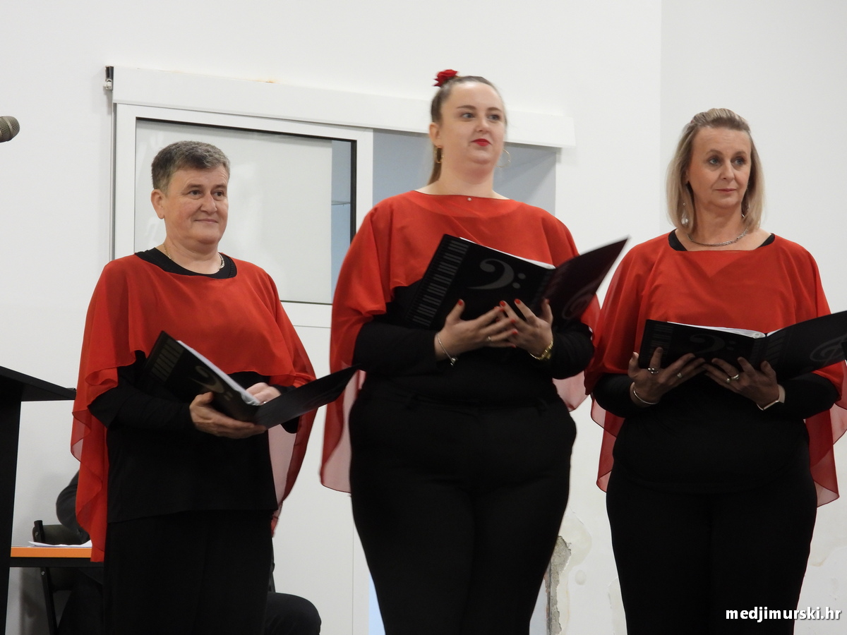 Vincekova zipka (90)