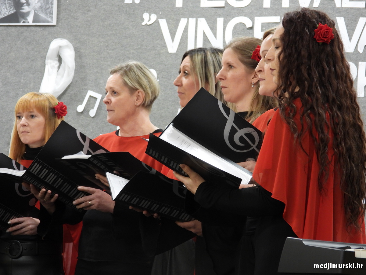 Vincekova zipka (91)