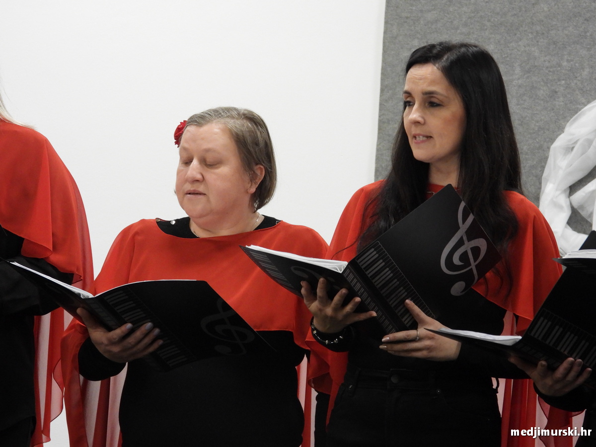 Vincekova zipka (92)