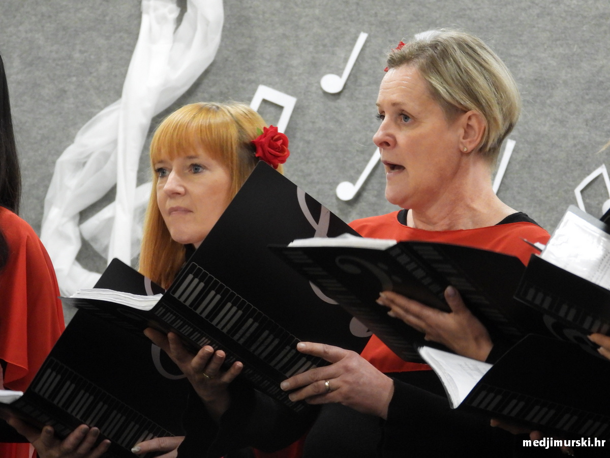 Vincekova zipka (93)