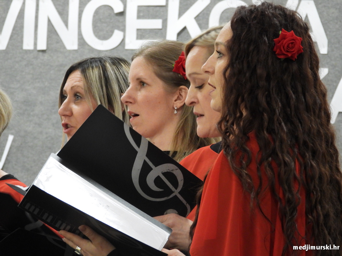 Vincekova zipka (94)