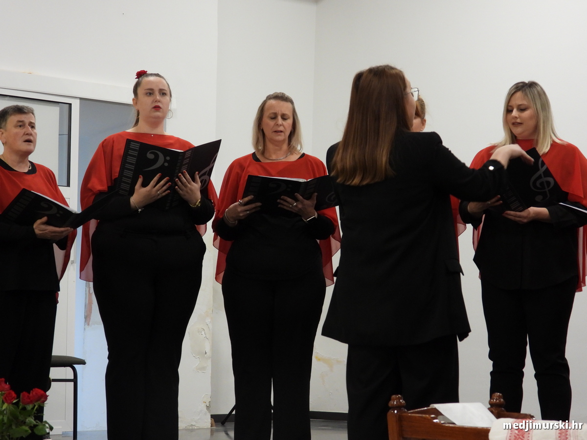 Vincekova zipka (95)