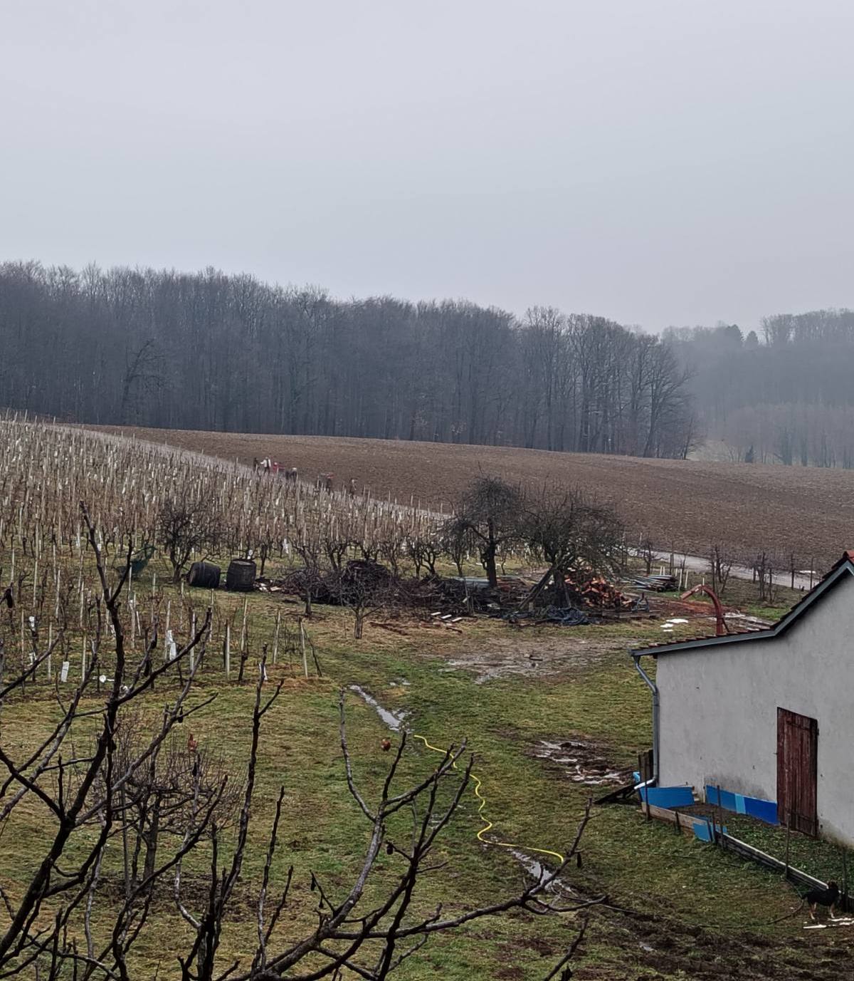 Zvonimir Lepoglavec 65 rođendan i mirovina (39)