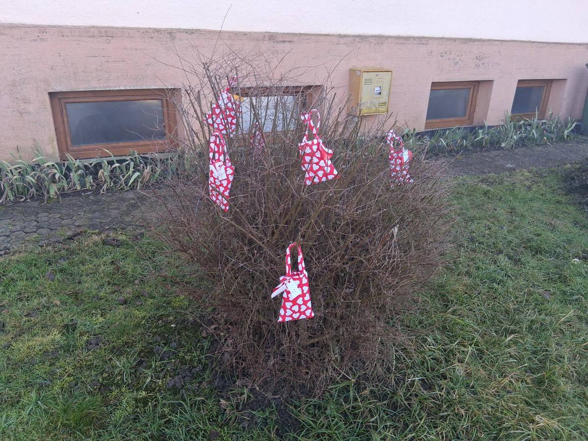 Pš gornji kraljevec (1)