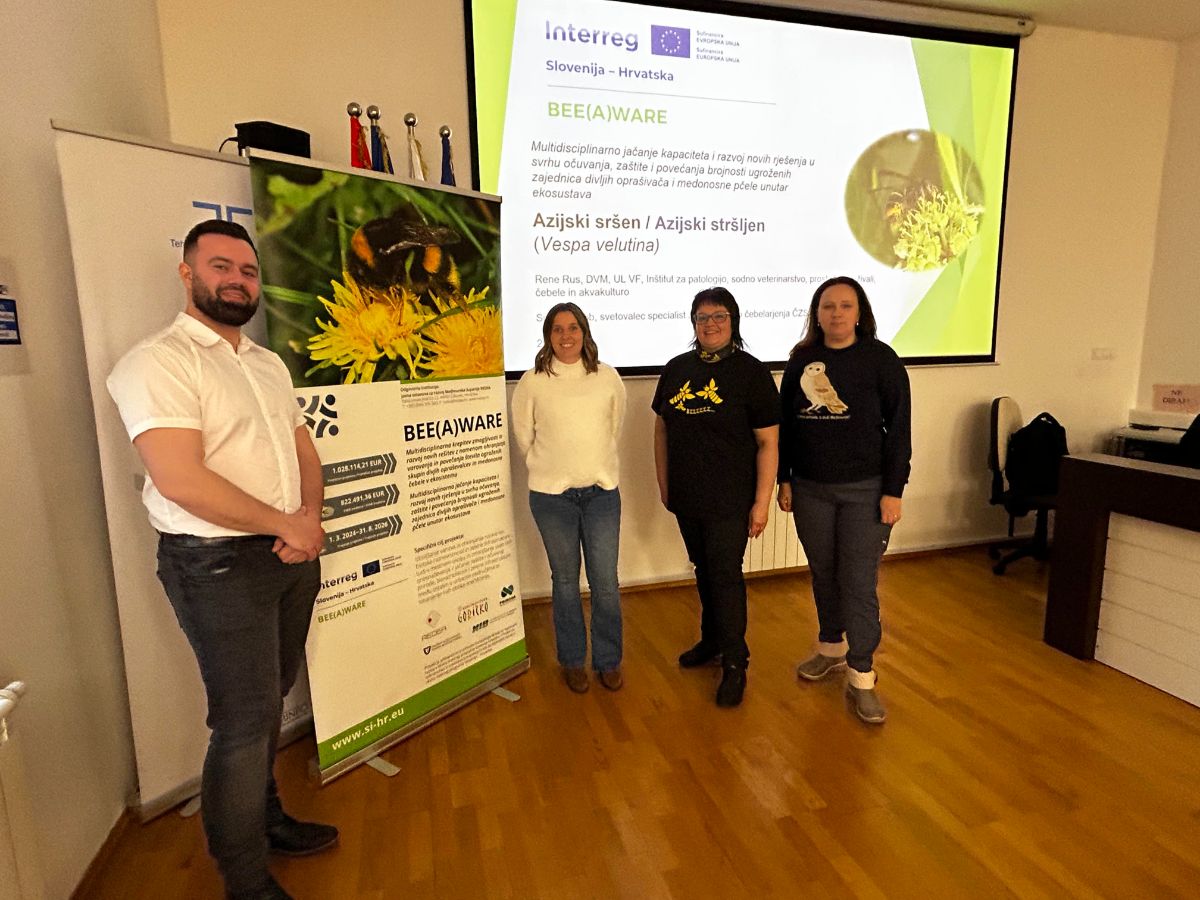 Azijski strsljen 1 Rene Rus, Sara Srsa, Roberta Radovic i Mihaela Mesaric