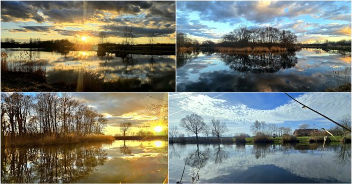 BeFunky collage