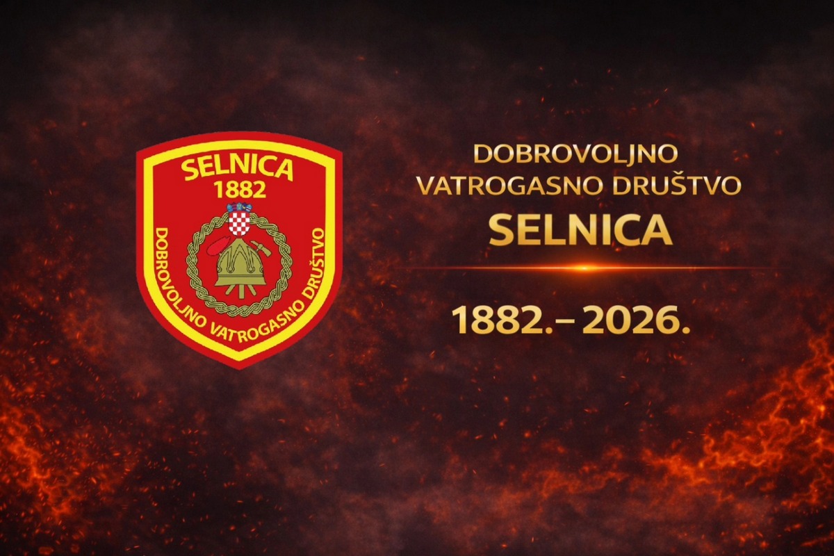 DVD Selnica (7)