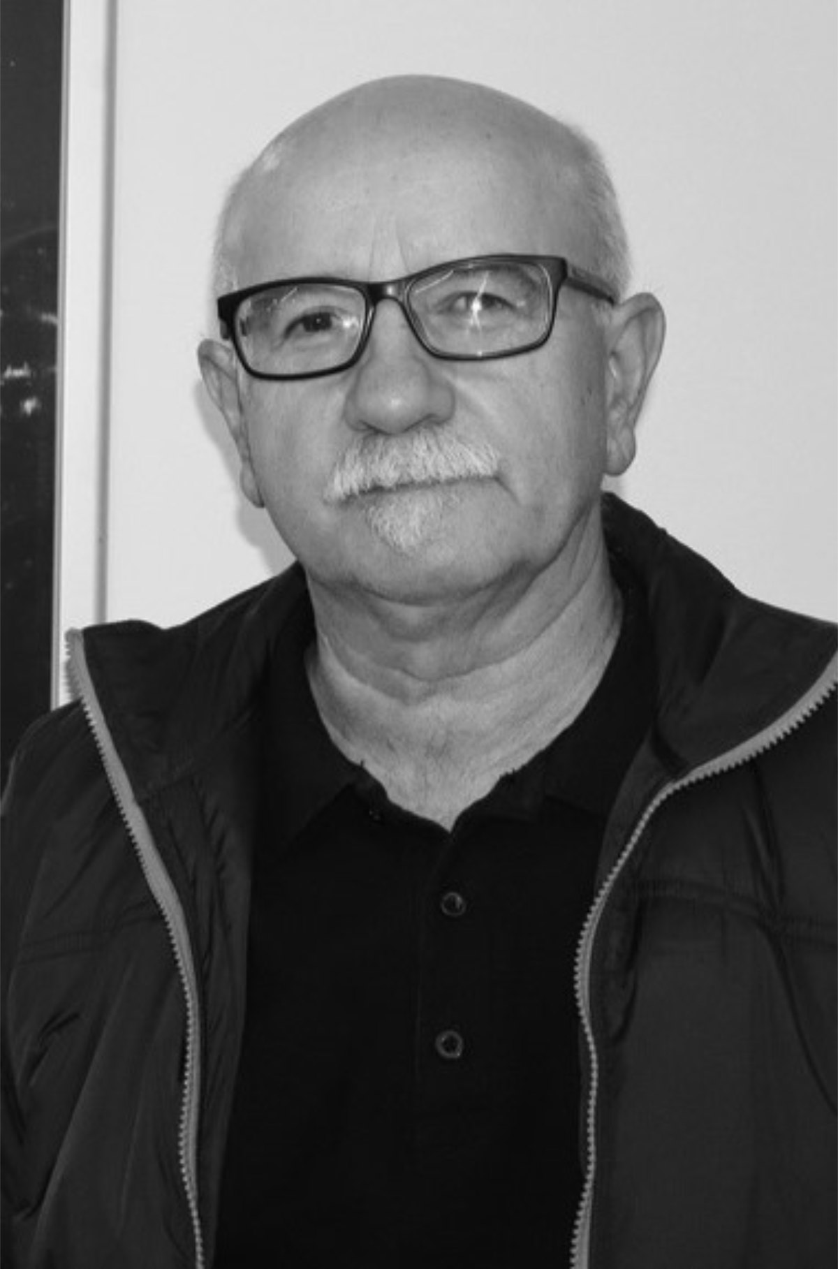 Damir Novak