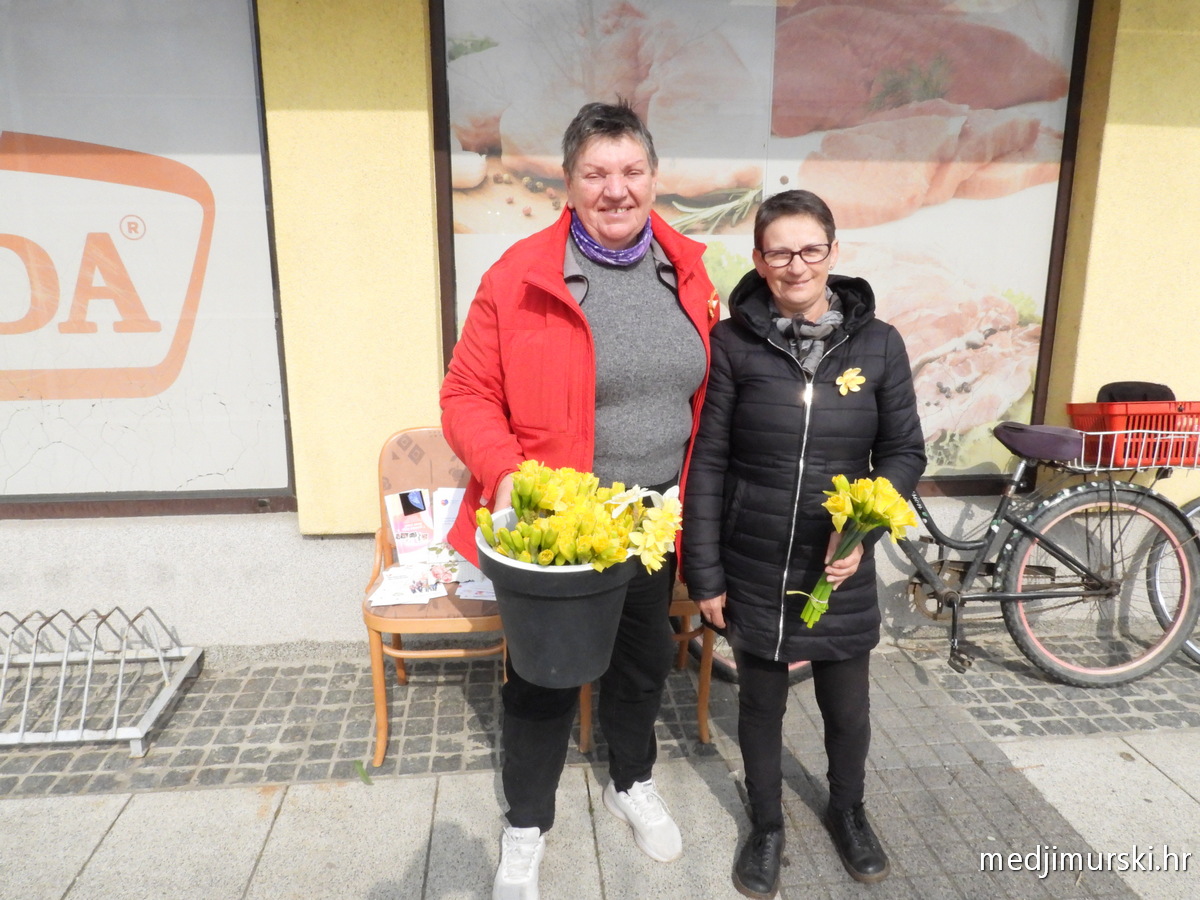 Dan narcisa Mala Subotica i Palovec (10)
