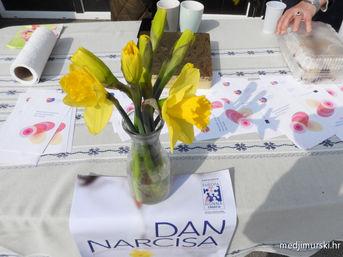 Dan narcisa Mala Subotica i Palovec (15)