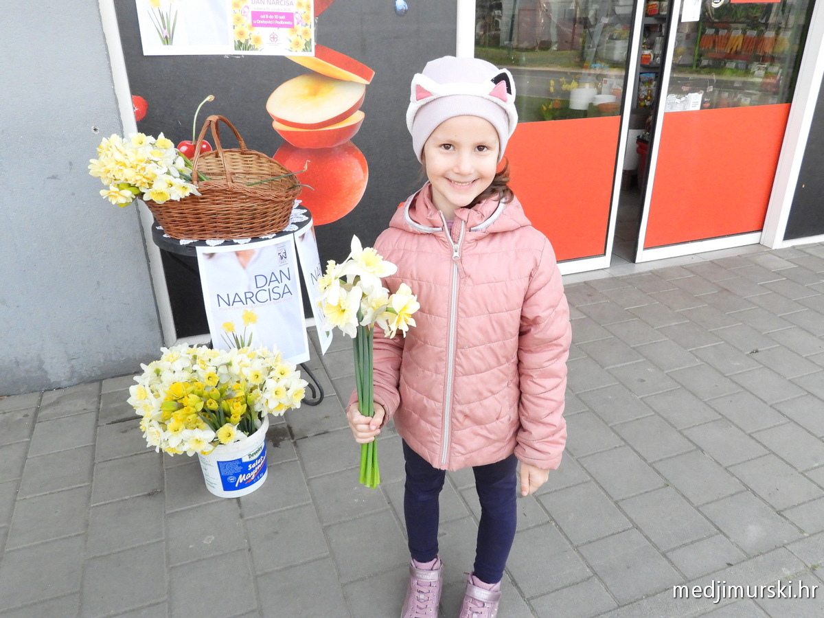 Dan narcisa Orehovica Podbrest (4)