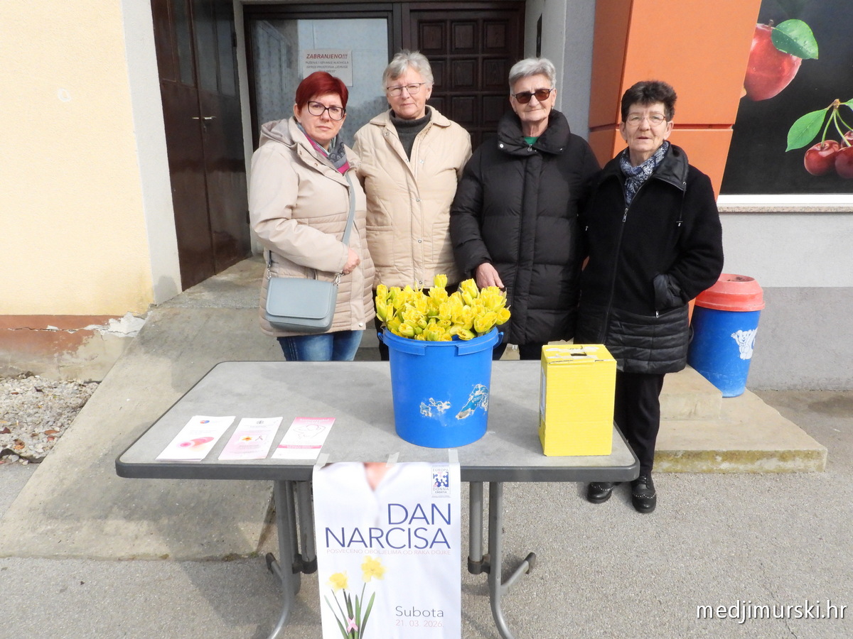 Dan narcisa Orehovica Podbrest (5)