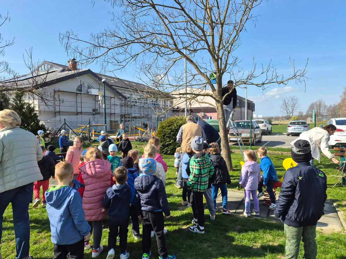Eko projekt DV Kockavica ptice kukci (20)