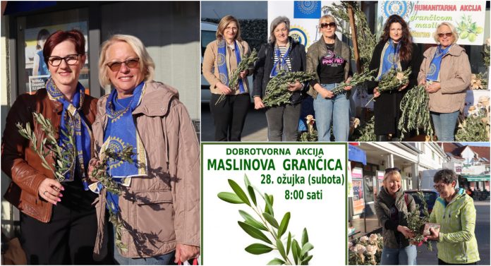 GLAVNA 2026 03 25T183801.312