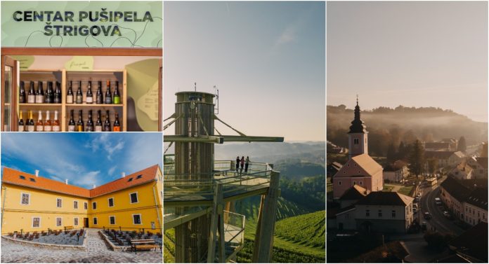GLAVNA štrigova GLAVNA štrigova