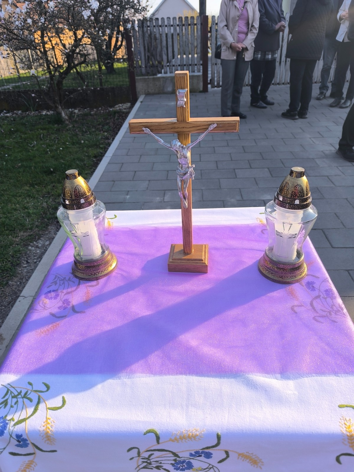 IMG 20260315