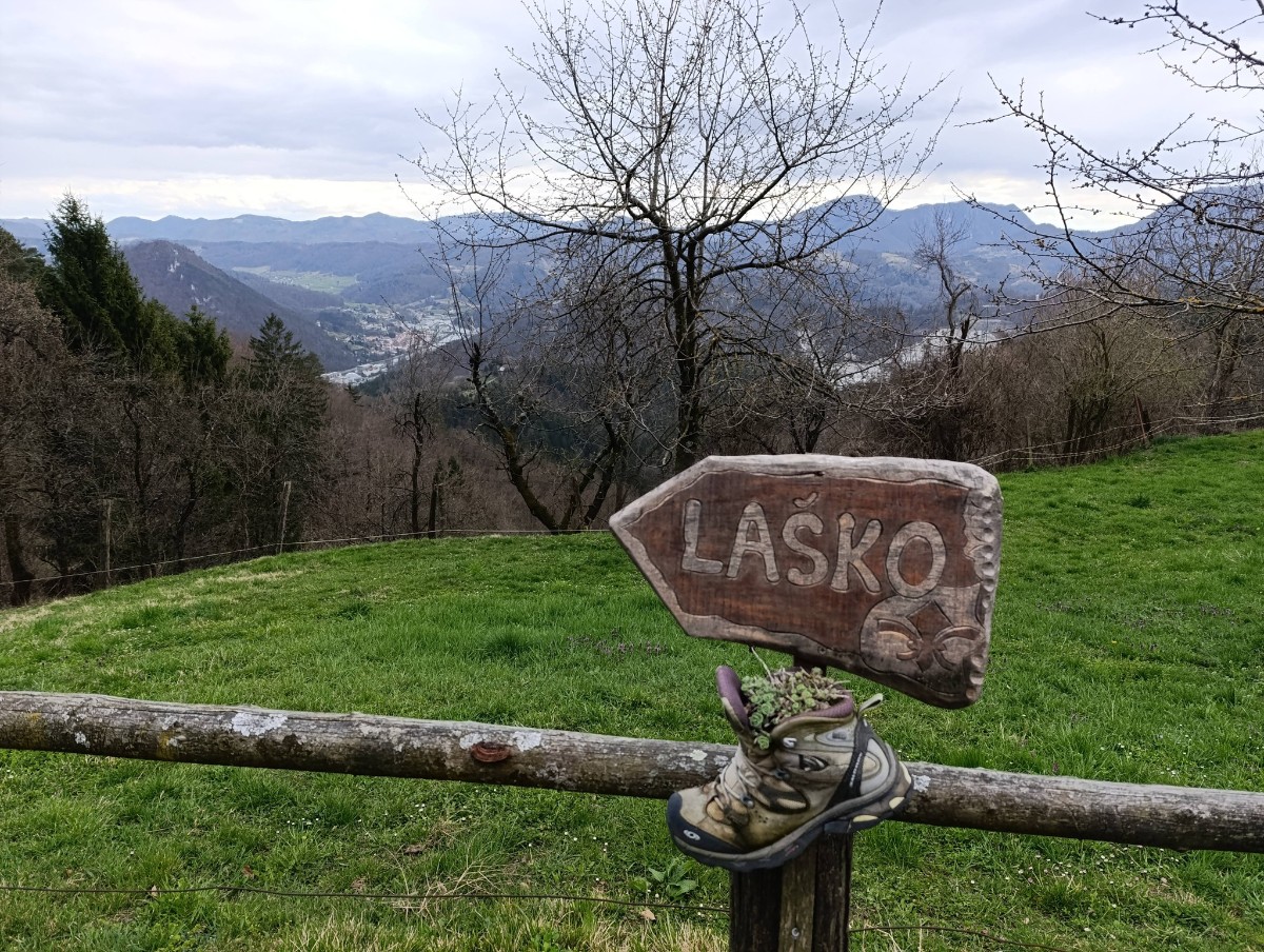 LJ