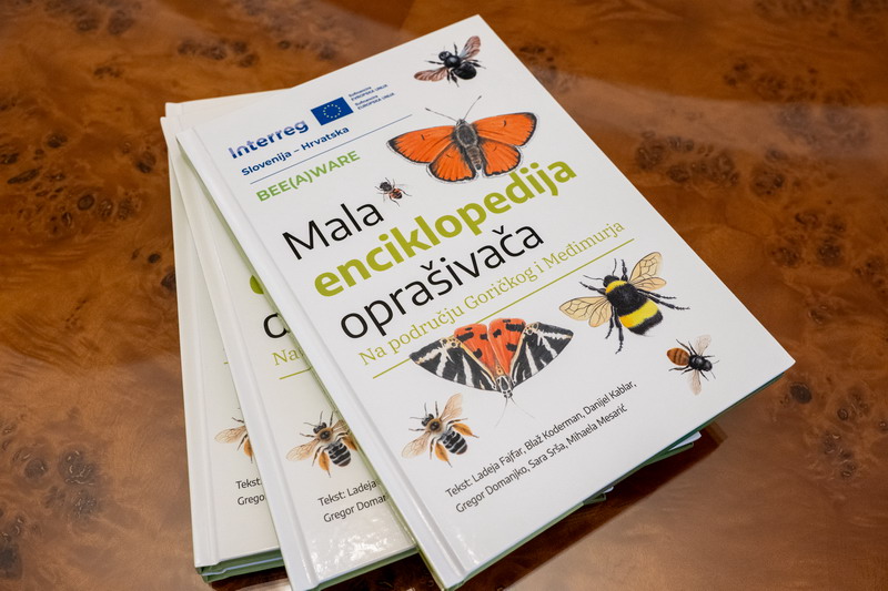 Mala enciklopedija u Lendavi foto Damijan Toth (5)