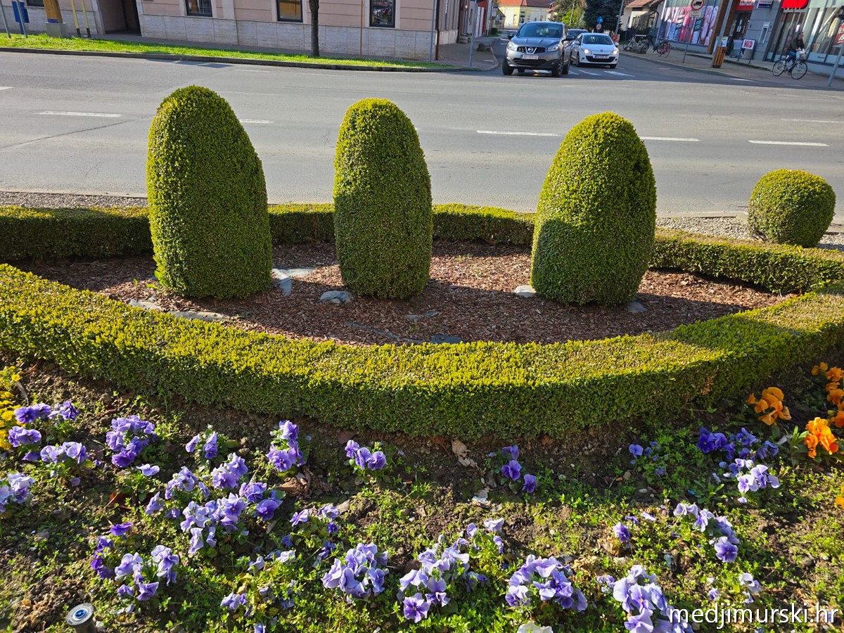 Proljetno uređenje Prelog (15)