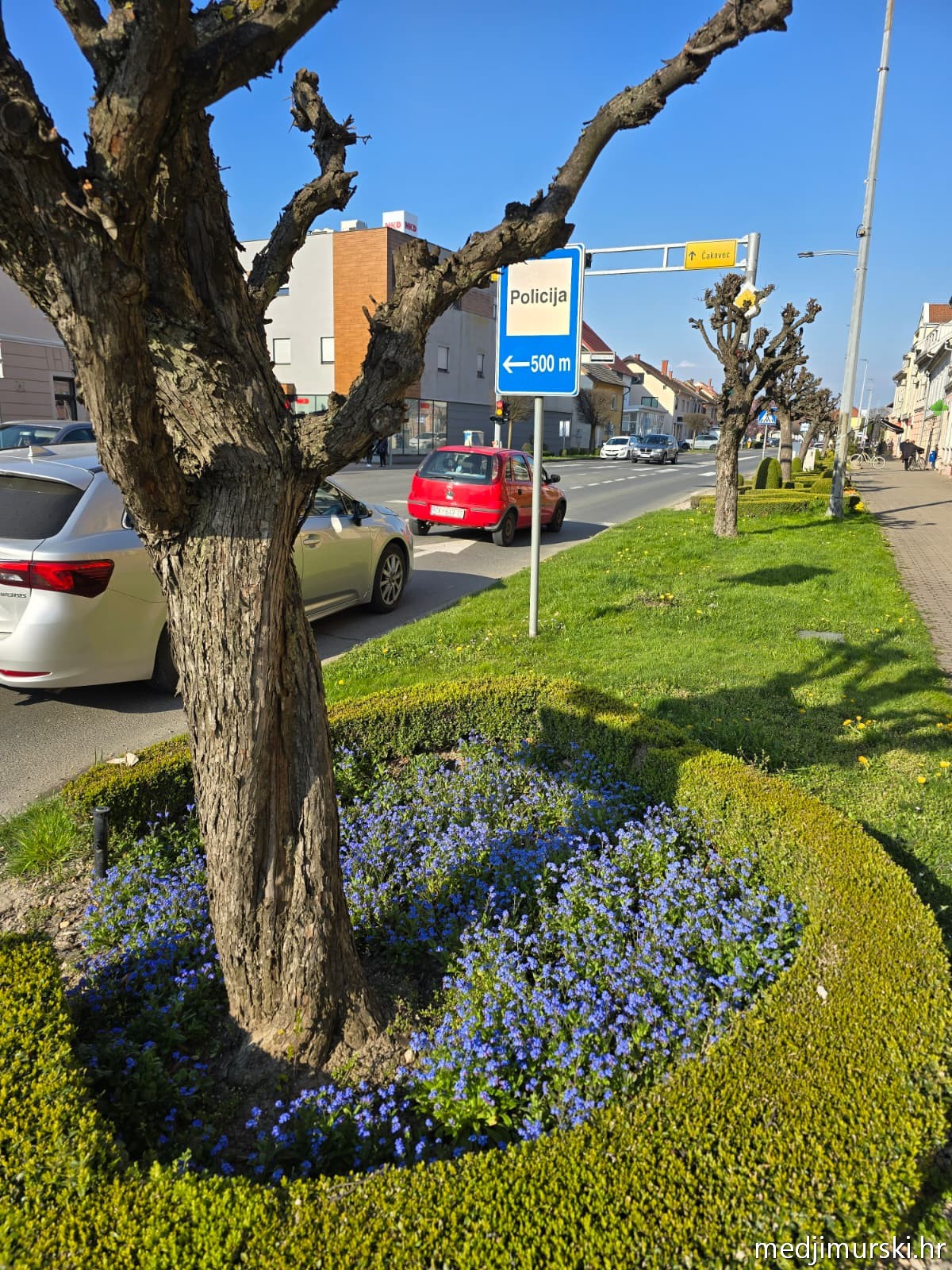 Proljetno uređenje Prelog (18)