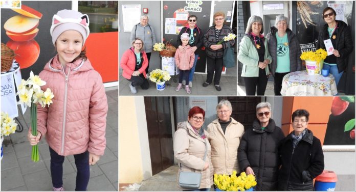 Naslovna narcise orehovica podbrest (2)