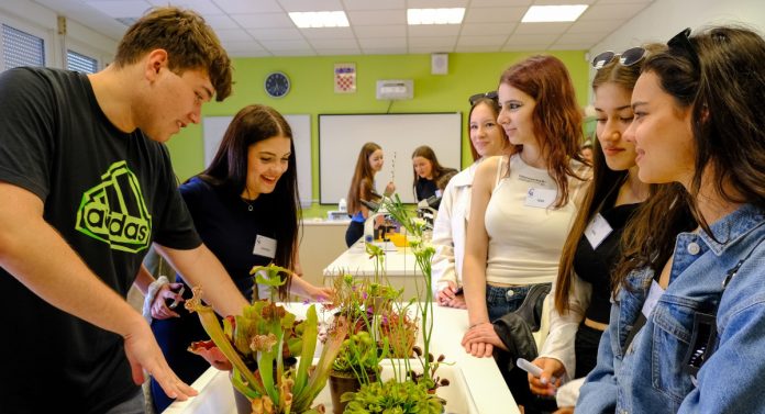 Skola kemija gimnazija