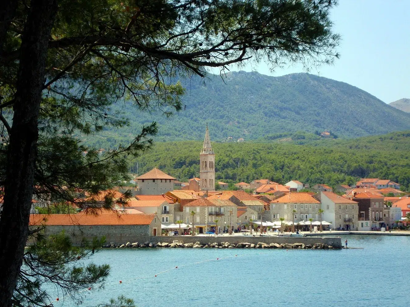 2 jakopic travel4