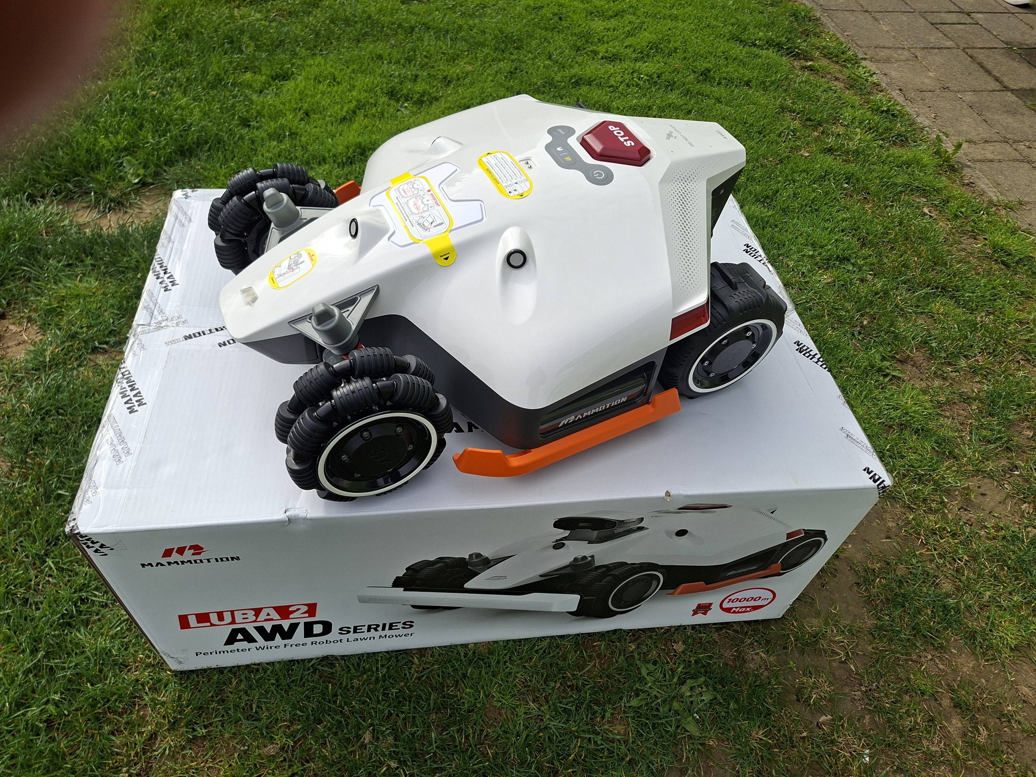 669619108 1424679849465444 1519366841471031676 n