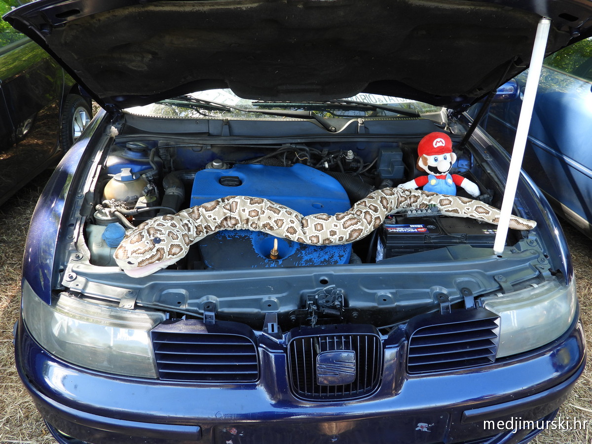 Car show Podbrest (55)