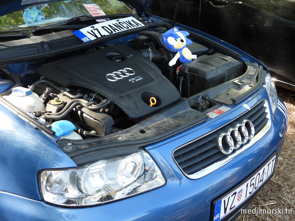 Car show Podbrest (56)