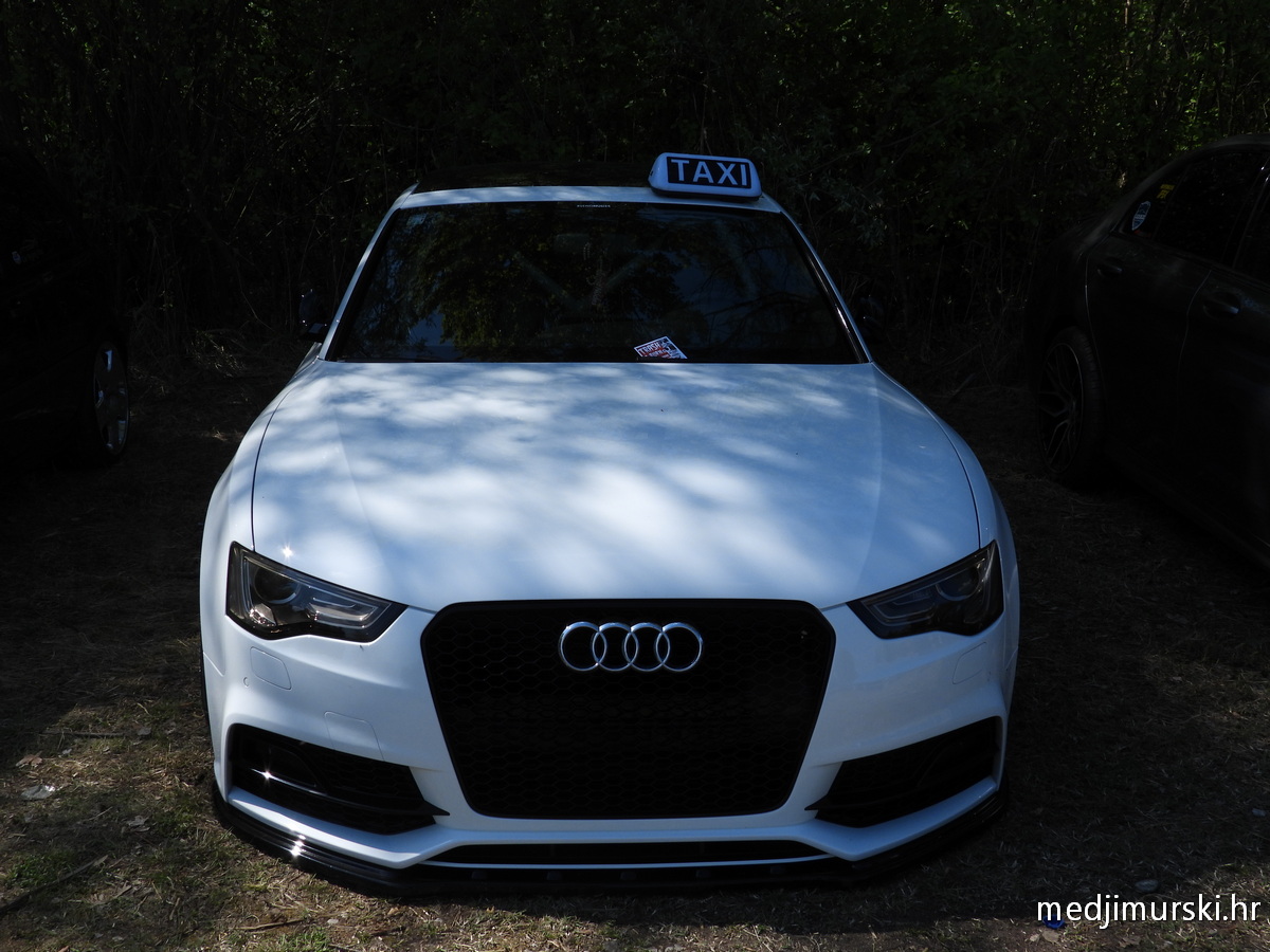 Car show Podbrest (61)