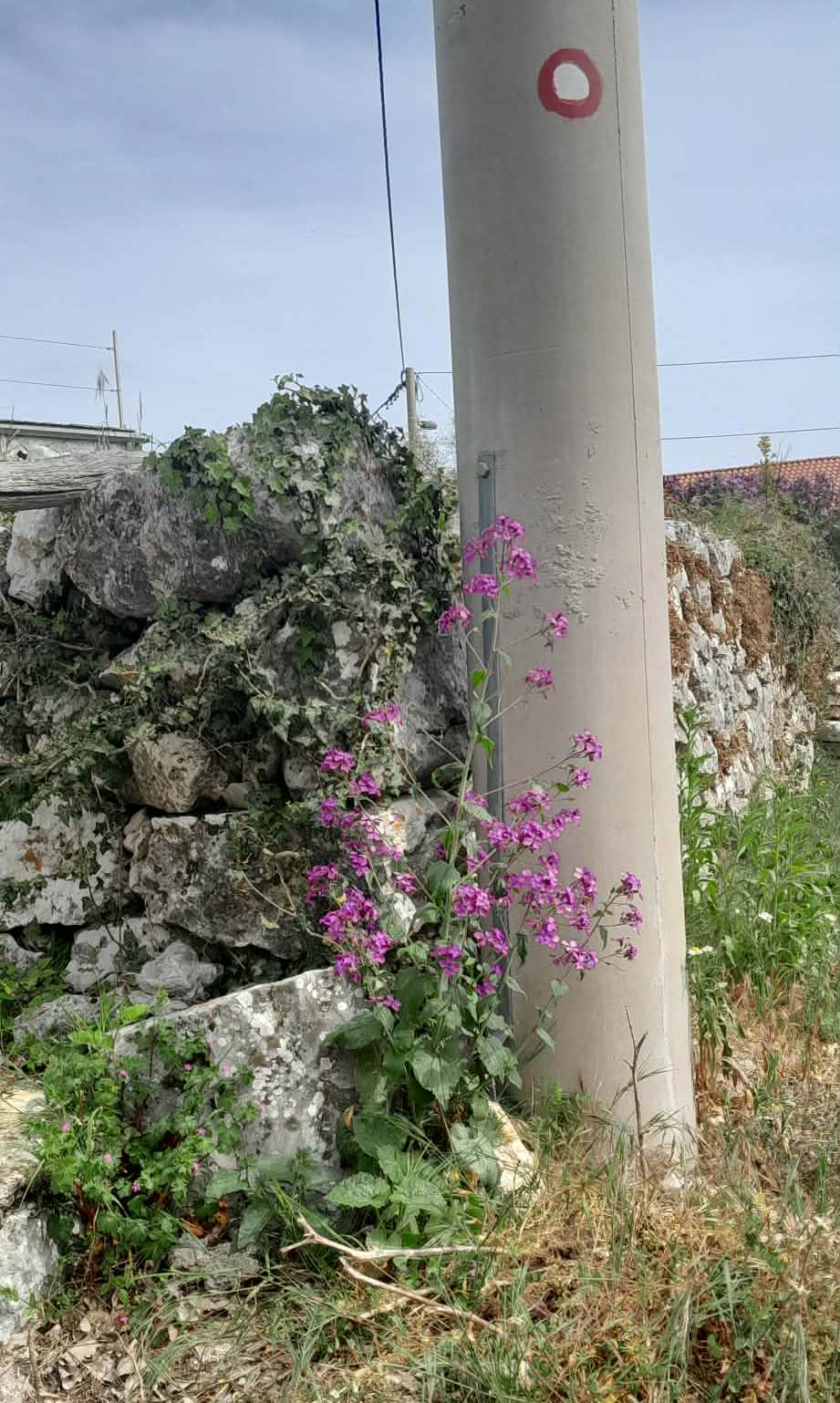 HPD Međimurje Učka Kremenjak (6)
