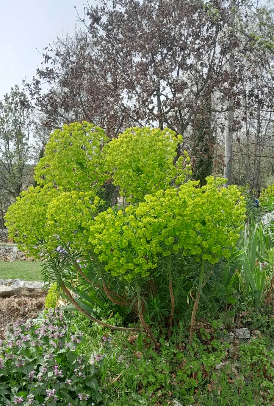 HPD Međimurje Učka Kremenjak (8)