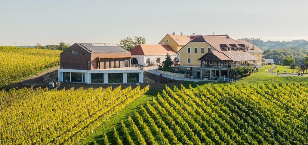 Hotel Terbotz