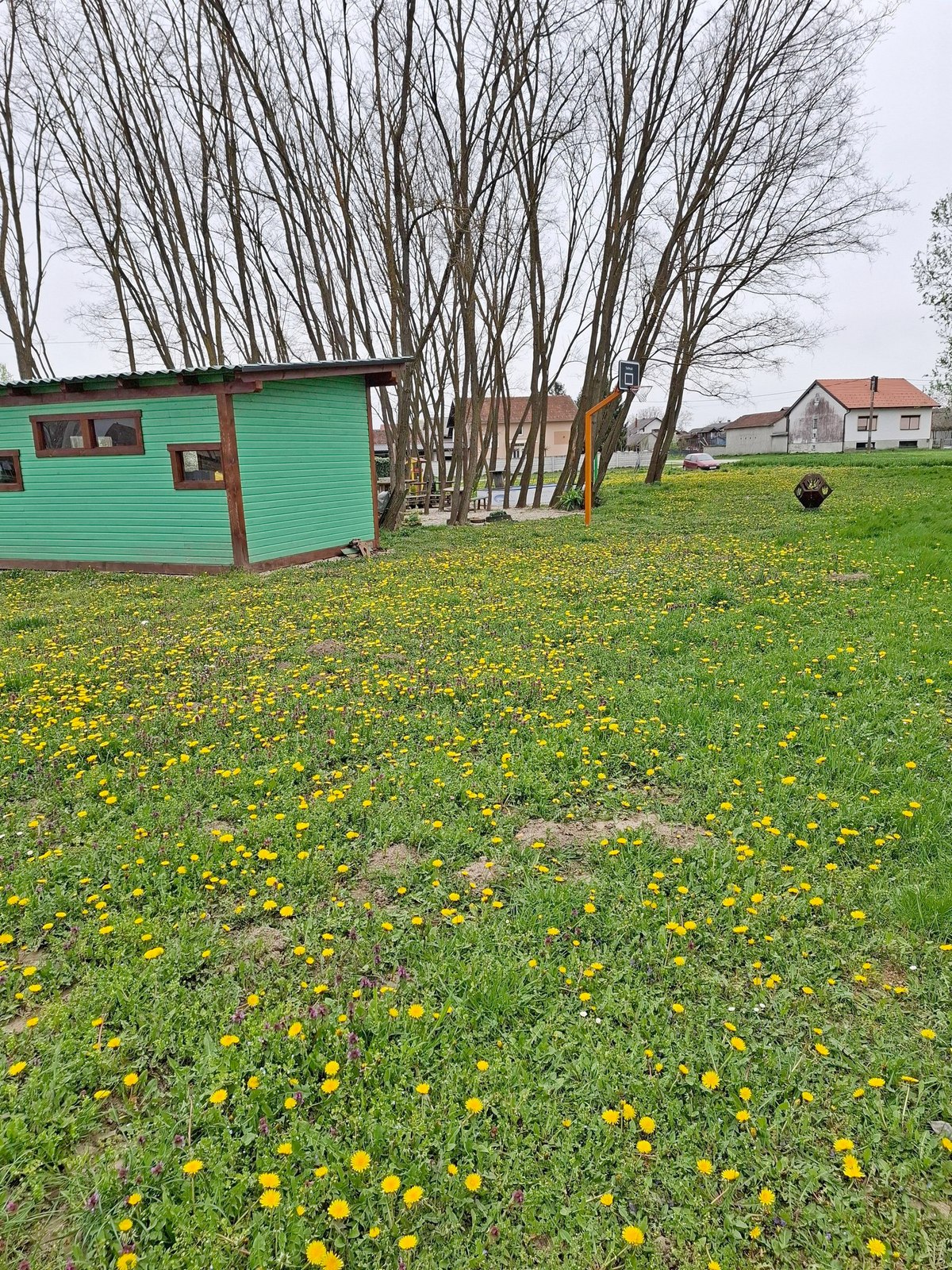 Livada za pčelice Goričan2
