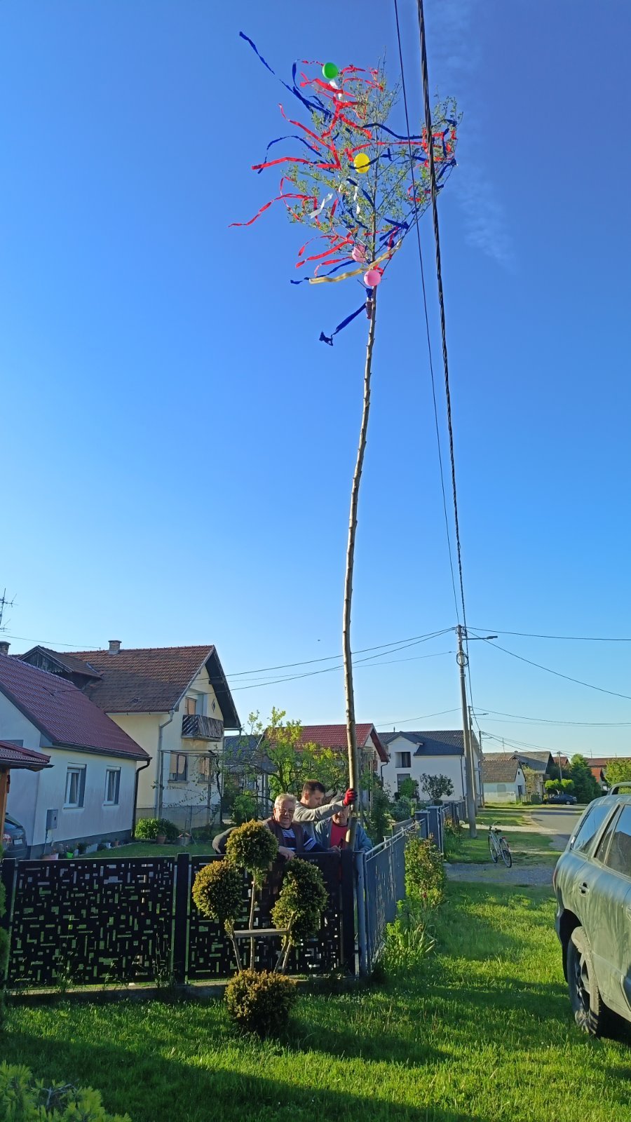 Majge Beli Beč 2026 (1)