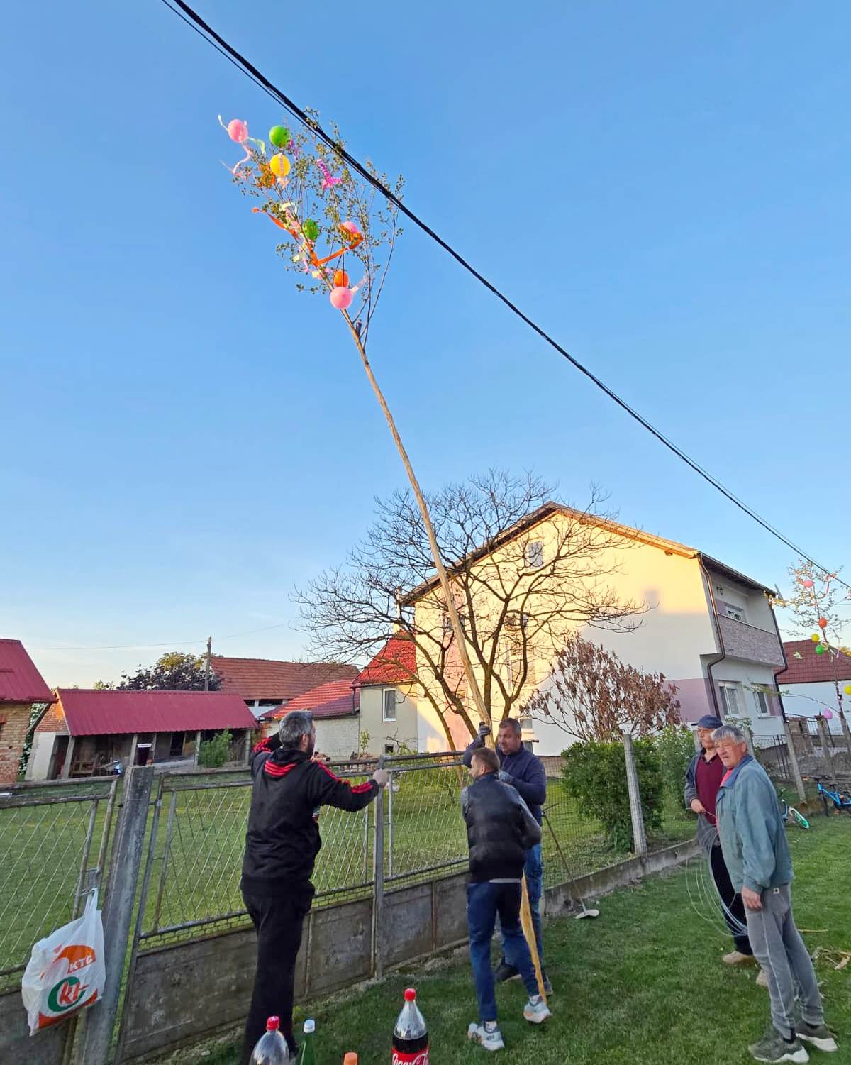 Majge Beli Beč 2026 (18)
