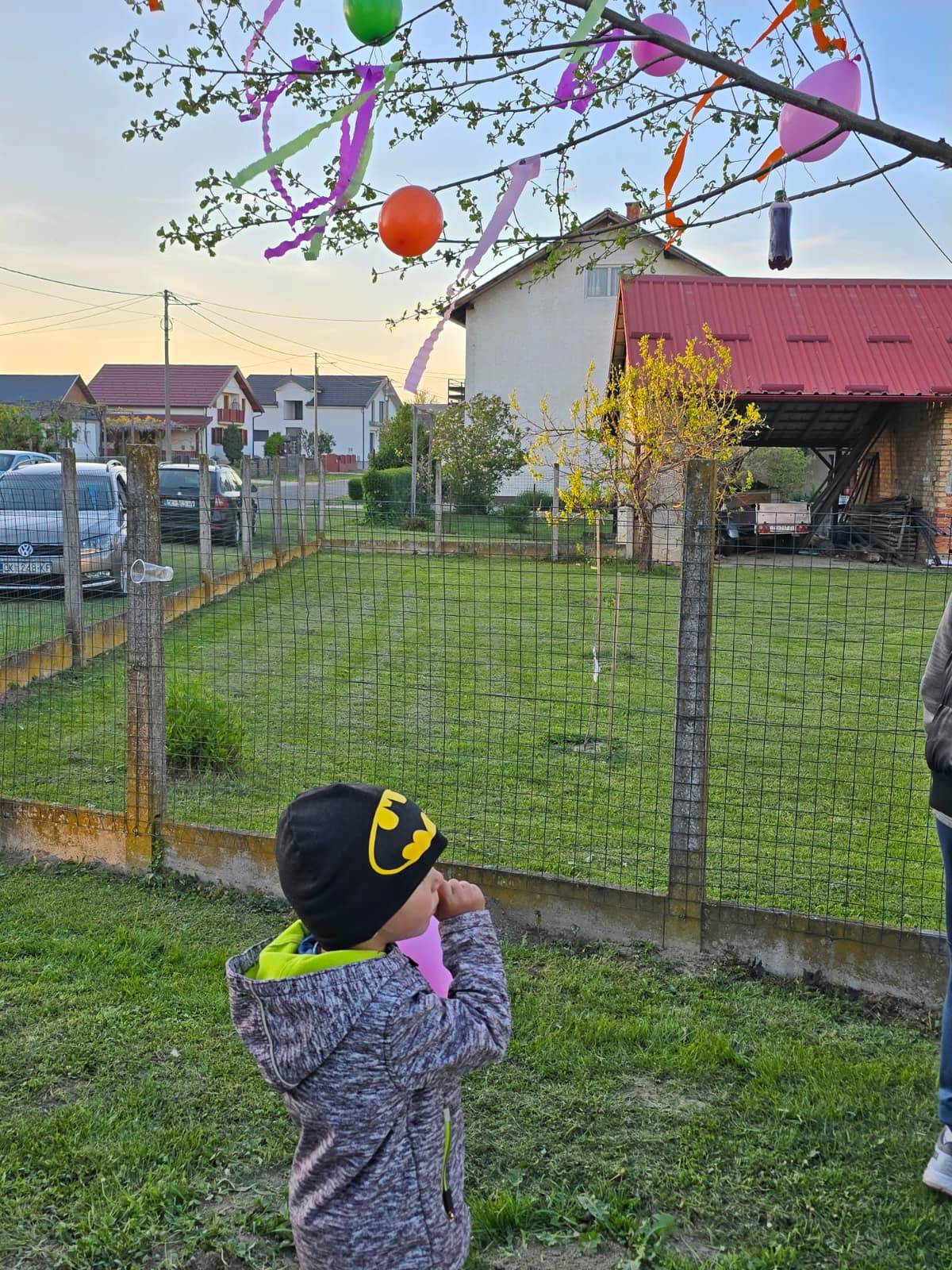 Majge Beli Beč 2026 (20)