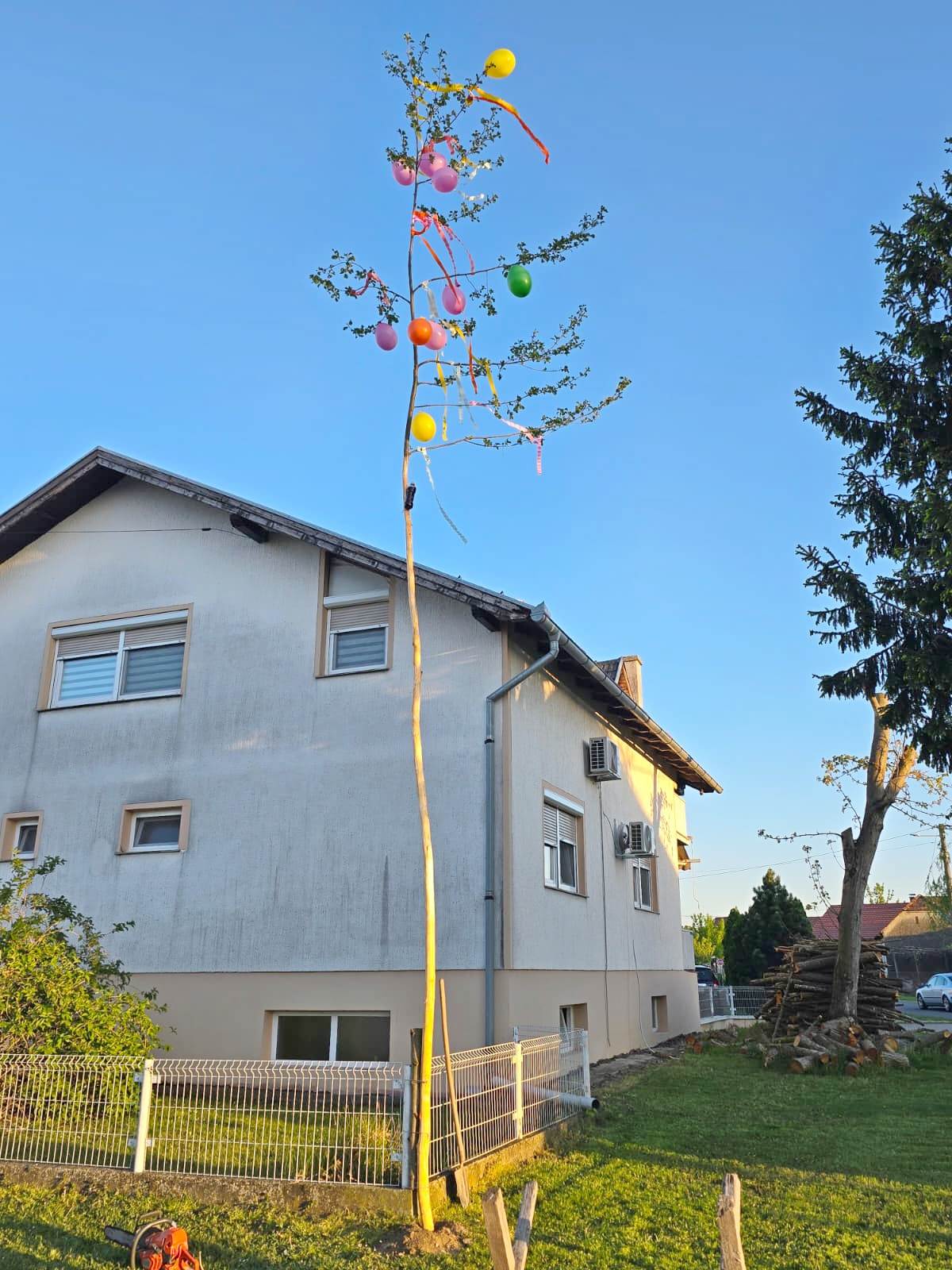 Majge Beli Beč 2026 (25)