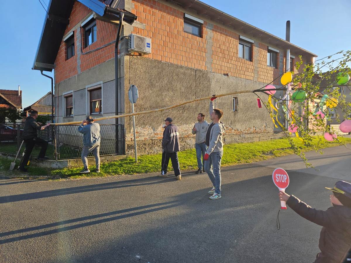 Majge Beli Beč 2026 (4)