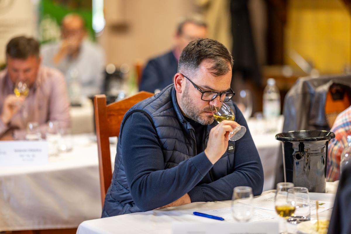 Međ. ocjenjivanje vina
